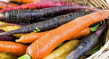 Mixed Carrot Seeds for Planting - 100 pcs